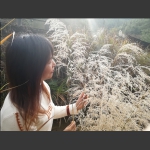 芦花之恋