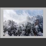 天子山雪景4
