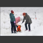 雪中情趣