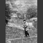 乡路