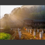 变革