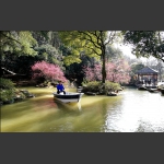 桃花岛