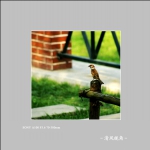 麻雀_4099