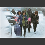 雪纷纷路匆匆