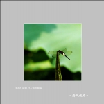 蜻蜓_4130