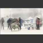 晨雪集市