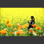 花不迷人，人自迷”