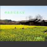 快乐在春天里。。。。。。