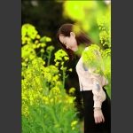 油菜花季