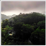 风雨欲来