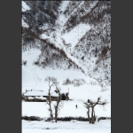 大山人家