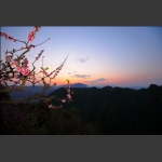 桃花夕照