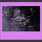 雾中的花朵