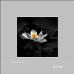 荷花_6118
