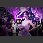 樱花仙子