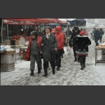 雪中匆匆行