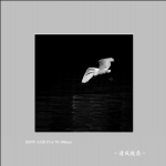 白鹭_7596