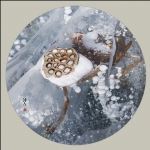 残荷听雪