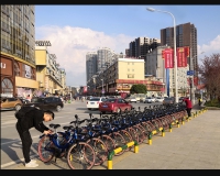 摆放整洁的共享单车