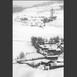雪村腊月