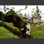 春暖花开