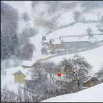 雪村正月