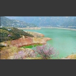 人间四月芳菲尽