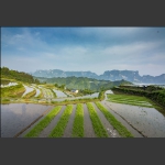 空中田园