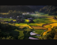 美丽乡村（1）