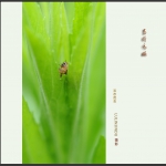 高瞻远瞩
