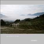 赵善村_5879