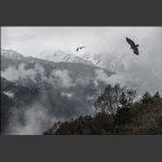 山魂