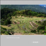 坑垠村_7801