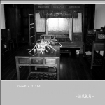 高桥人家_3127