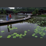 村部鱼塘