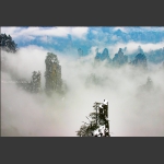 寒雪
