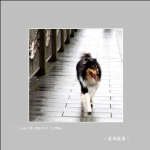 身边_2612