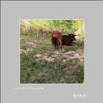 身边_7825