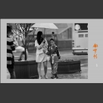 街头随拍