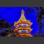 夜明珠