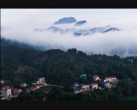 乡村新雨后1