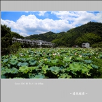 利山村_3564