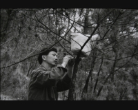 1、人工土法除虫（1987年4月）