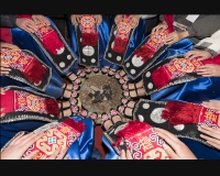 西南卡普