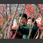 幸福像花儿一样