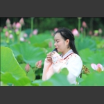 荷塘丽影