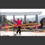 金蛇飞舞