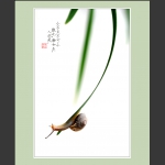 小蜗牛