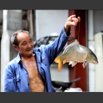 渔获锦鲤