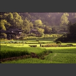 石堰坪一隅